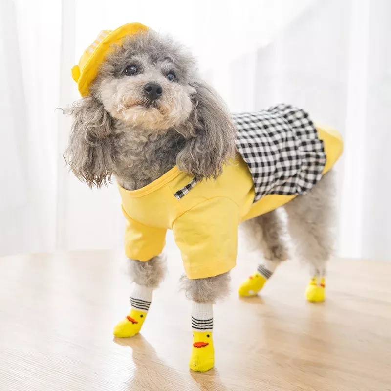 Chaussettes mignonnes pour chat
