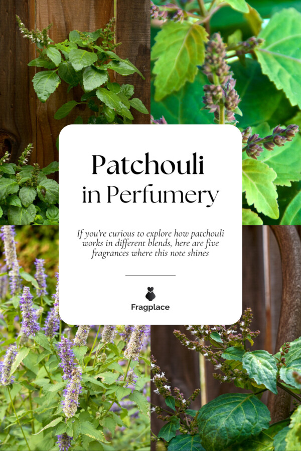 parfum patchouli femme