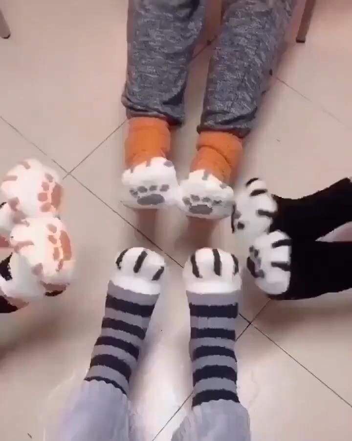 chaussettes pour chaton